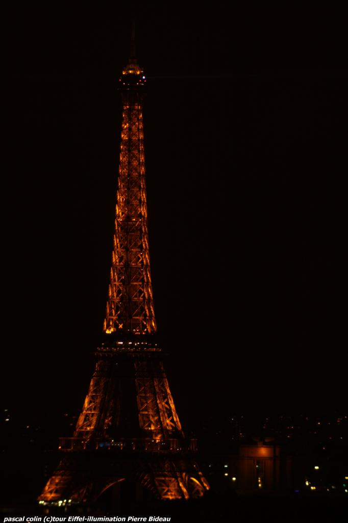 Belle de nuit