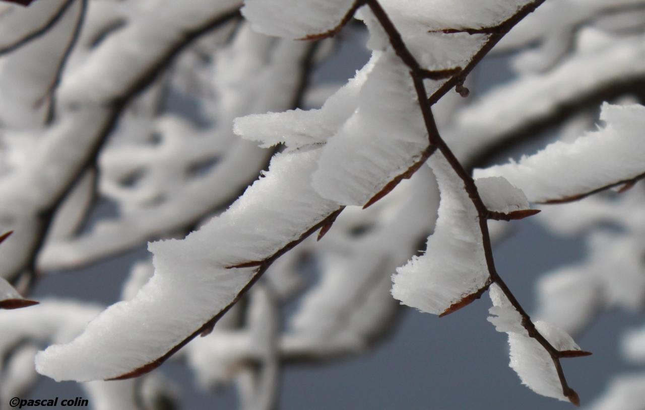 Balais de neige