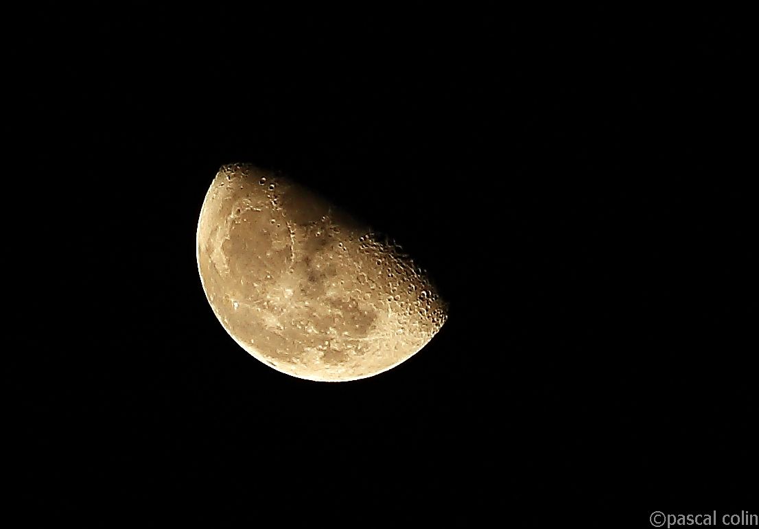 Lune d'or
